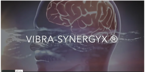 Vibra-Synergyx (Александр Клинг)