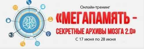 Мегапамять - Секретные архивы мозга 2.0 (Андрей Сподин)