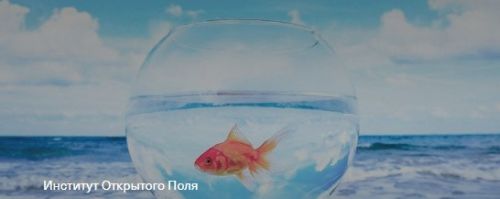 Моя мечта. Группа практики (Елена Веселаго)