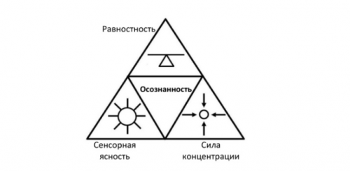 Практика базовой осознанности: Основной курс (Виктор Ширяев)