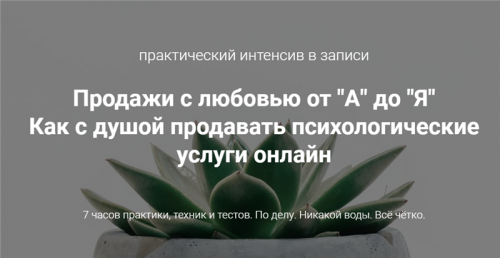 Продажи с любовью от А до Я (Ирина Хмелевская)