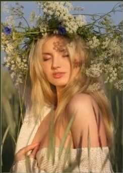 Секреты женского магнетизма (Наталья Михайловская)