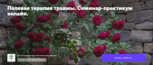 [constellations] Полевая терапия травмы (Елена Веселаго)