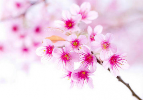 [ВиЭль центр] Женское состояние (Оксана Алексеева)