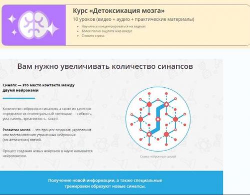 [Викиум] Детоксикация мозга (Виктор Ширяев)