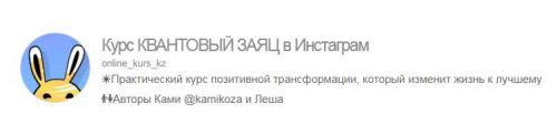 'Квантовый заяц ' (Камила Измайлова, Алексей Левин)