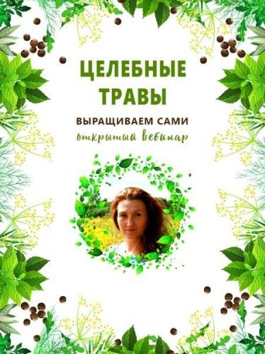 Целебные травы. Выращиваем сами (Ольга Апиариус)