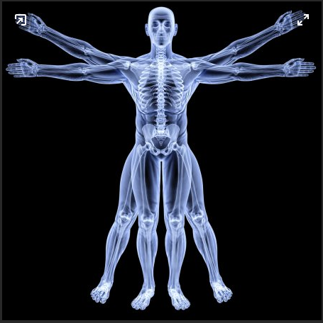 Физиология множественных оргазмов. Устранение биомеханических блоков в малом тазу (Игорь Атрощенко)