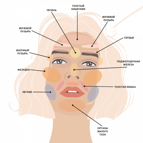 Кожа мечты 2.0. Тариф «Начинающий» (Александра Ефимова)