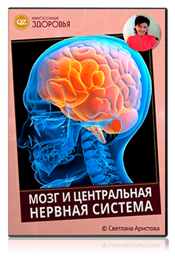 Мозг и нервная система. Нутрициология (Светлана Аристова)