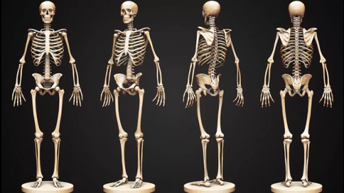 Психосоматика заболеваний опорно-двигательного аппарата (Татьяна Рожкова)