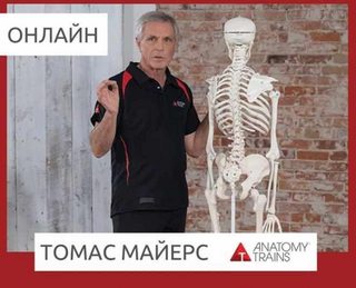 ВЕБИНАР «Чтение Тела» с Томасом Маи?ерсом. 2 части (2020)