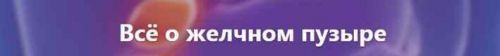 Всё о желчном пузыре [dietolog_zanna]