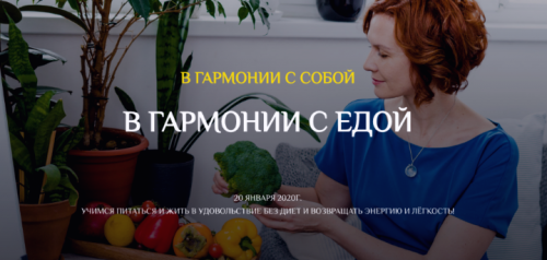 В гармонии с едой.Тариф Стандарт 2020 (Екатерина Андреева)