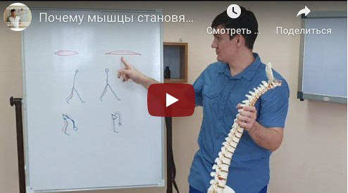 Здоровые суставы и мышцы. часть 4 (Антон Алексеев)