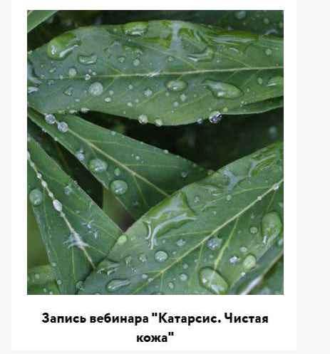 [broccoliblog] Катарсис. Чистая кожа (Настя Озерова)