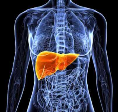 [Первая школа биохакинга] Печень. Глобальный детокс (Ирина Баранова)