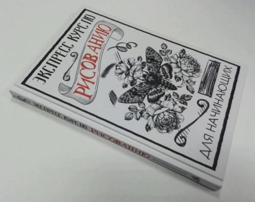 Экспресс курс по рисованию для начинающих (Мистер Грей)