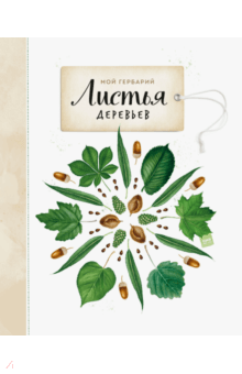 Мой гербарий. Листья деревьев (Анна Васильева)