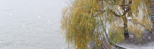 Скорая помощь природными средствами (Рената Равич)