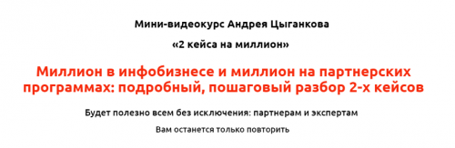 2 кейса на миллион (Андрей Цыганков)