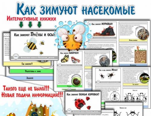 Как зимуют насекомые? Интерактивные книжки (Елена Солдатова)