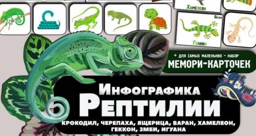 Рептилии. Интерактивные странички и карточки о рептилиях (Елена Солдатова)