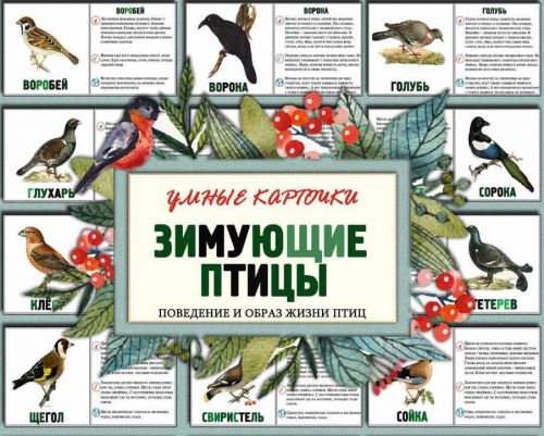 Зимующие птицы. Часть 1 (Елена Солдатова)