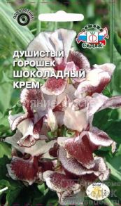 Горошек душистый Шоколадный крем (СеДек)