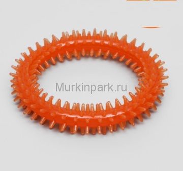 Игрушка жевательная "Игольчатое кольцо", прозрачная, PP, 12,5 см, микс цветов