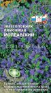 Zmeegolovnik-limonnyj-Moldavskij-SeDek