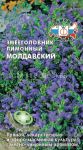 Zmeegolovnik-limonnyj-Moldavskij-SeDek