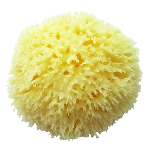 Губка натуральная морская HONEYCOMB FIRST QUALITY (6,0 - 6,5 дюйм)/для тела/1 шт/1 уп.