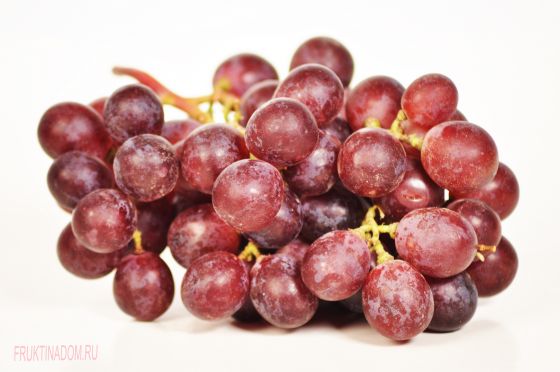 Виноград Кардинал Виноград Кардинал