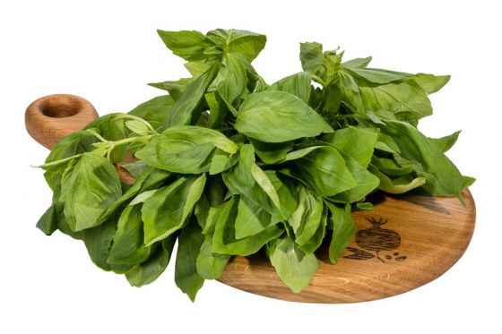 .Базилик Зеленый 100гр