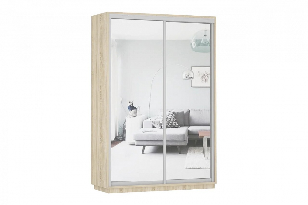 Шкаф-купе Экспресс Экспенс дуо (2 зеркало) Ш1600 x 600