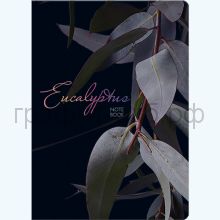 Книжка зап.Полином А5 EUCALYPTUS 96л.кл. на резинке 3133