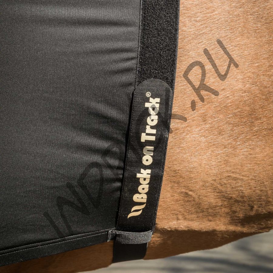 Попона Back on Track на плечи для лошади