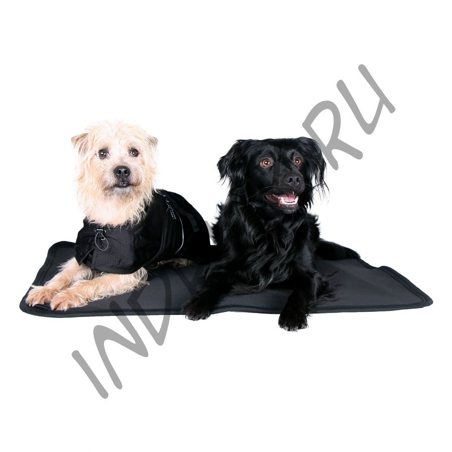 Подстилка-матрасик Back on Track для собак и кошек