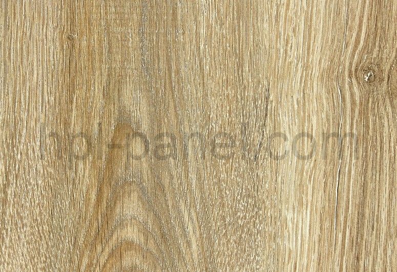 LM 0666 Дуб Эсперанца (КМ1)