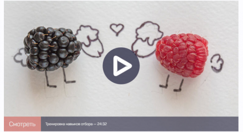 [liveclasses] Упражнения для саморазвития (Антон Мартынов)