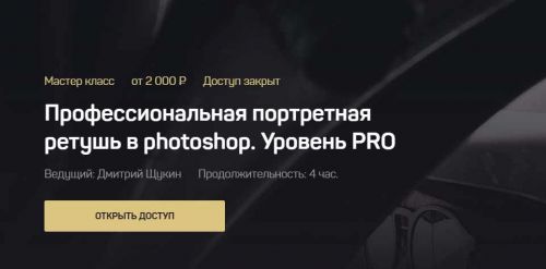 Профессиональная портретная ретушь в photoshop. Уровень PRO. Тариф - Standart (Дмитрий Щукин)