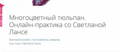 Многоцветный тюльпан (Светлана Лансе)