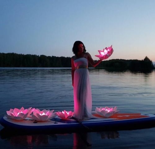 Светящийся лотос (Ольга Ольнева)