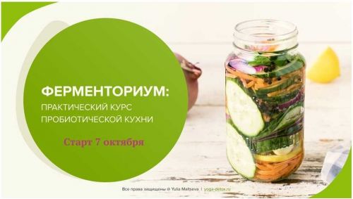 Ферменториум: практический курс пробиотической кухни (Юлия Мальцева)