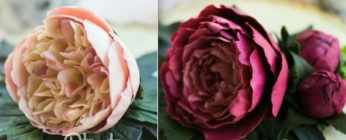 Шоколадные пионы (Tori Pteat)