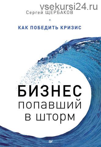 Бизнес, попавший в шторм. Как победить кризис(Сергей Щербаков)