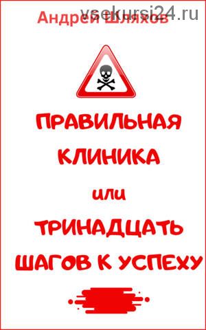 Правильная клиника, или 13 шагов к успеху (Андрей Шляхов)