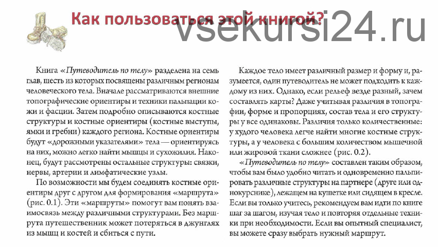 Путеводитель по телу. Практическое руководство по пальпации тела (Эндрю Бил)