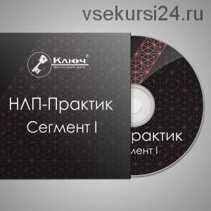 НЛП-Практик. Сегмент I - Скрытое воздействие (Максим Шумаков)